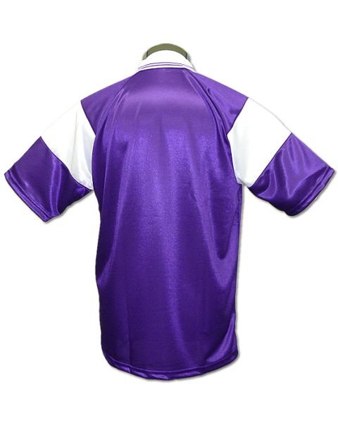 知的な紫がメインの光沢デザインC01タイプ紫/白・裏